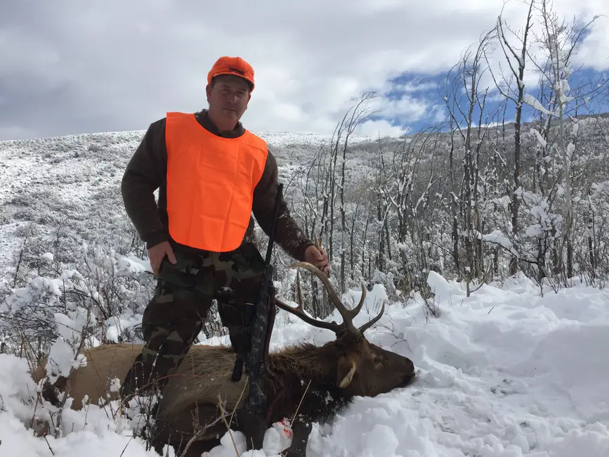Utah Elk drfopped in his tracks with 340 WBY